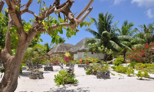 Pension Tikehau Paradise